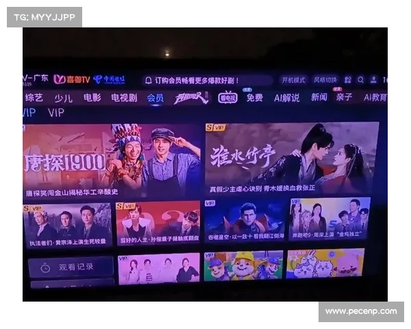 电视回看全新体验 打破时空限制尽享精彩内容 电视回看全新体验 打破时空限制尽享精彩内容